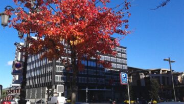 fotonoticia_20151109134012_800