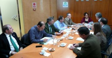 fotonoticia_20151109184531_800