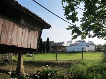 fotonoticia_20151127143833_800