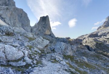 fotonoticia_20160206121338_800