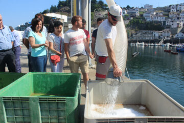 2016_07_19 Inauguracion fabrica hielo Luarca 1