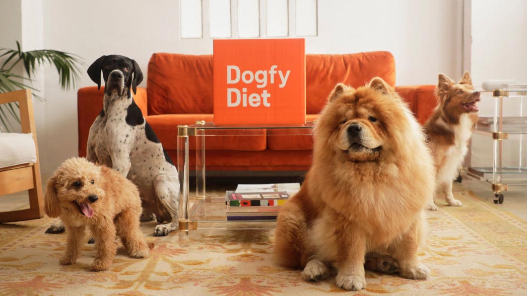 Dogfy Diet Nutrici n Personalizada Para El Bienestar ptimo De Tu 