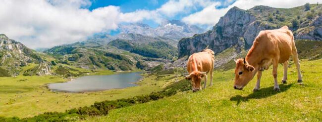 Naturaleza Asturias