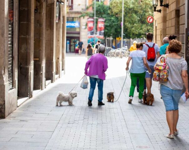 La esperanza de vida en España 