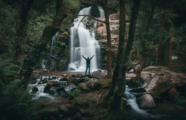 plataforma empresas ecológicas