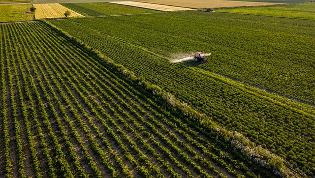 Agricultores y ganaderos