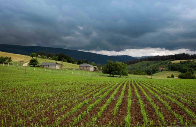 Ayudas Leader en Asturias