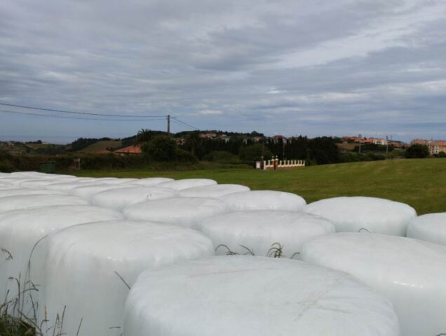 plásticos agrarios Carreño