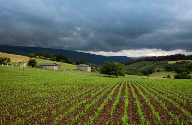 Asturias lanza nuevas ayudas Leader