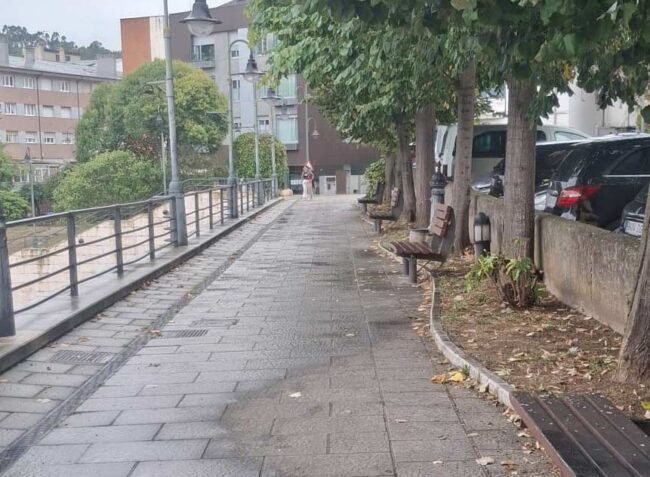 Carreño vecinos