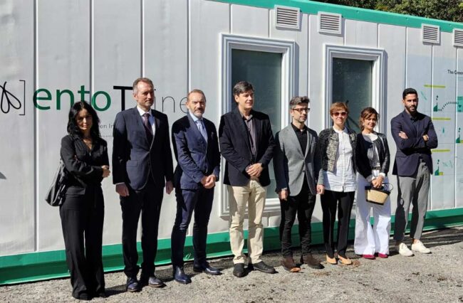 Entomo en Laviana