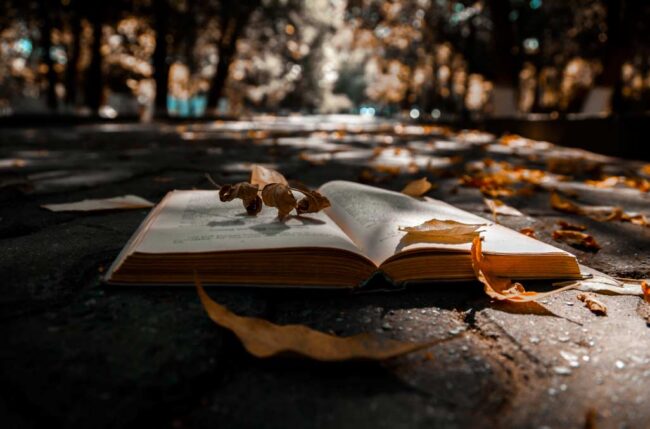 Libros recomendados para leer este otoño 2025