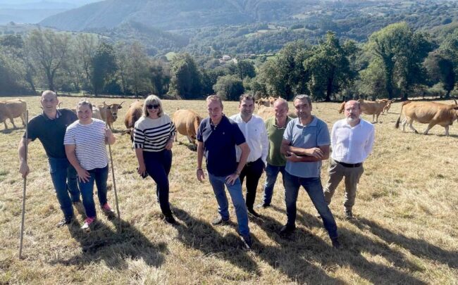 jóvenes del campo Asturias Candás 365 jóvenes del campo Asturias