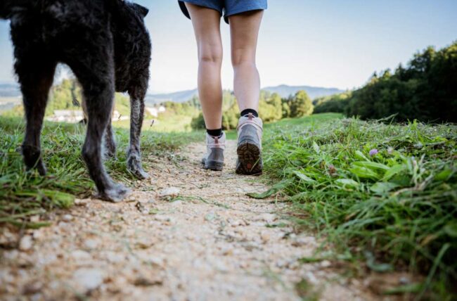 Beneficios de caminar con tu perro diariamente  Candás 365 Beneficios de caminar con tu perro diariamente