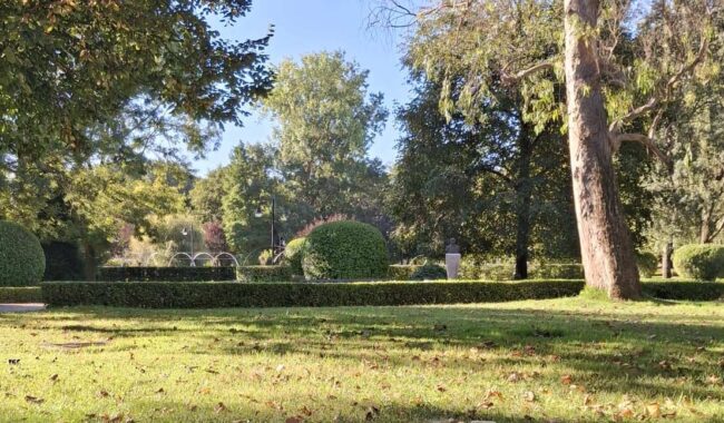 Detectado un foco de gripe aviar en Gijón Candás 365 Detectado un foco de gripe aviar en Gijón