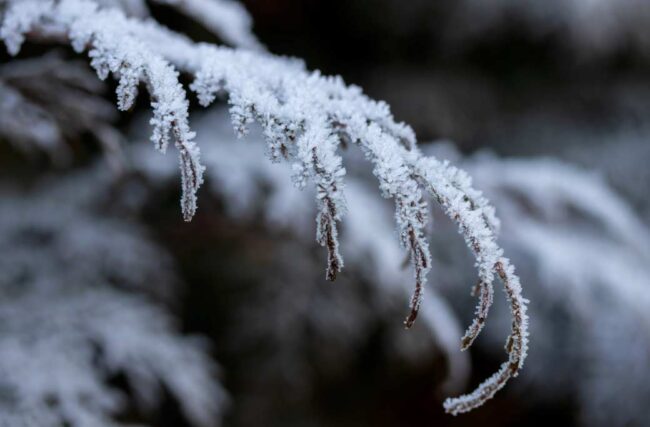 El frío ártico congela 45 provincias en España