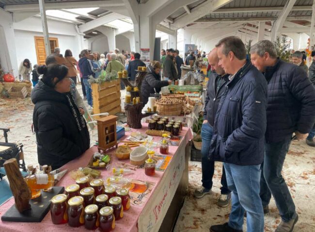RécorddeproduccióndechoscodeTineo Candás 365 Récord de producción de chosco de Tineo