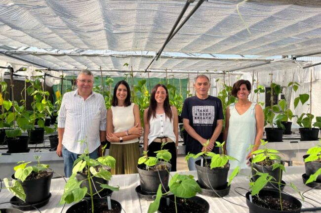  genoma de la Faba Granja Asturiana