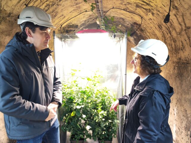 Asturias impulsa cultivos subterráneos en Laviana