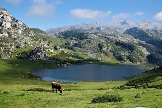 Ayudas en Asturias para municipios de Picos de Europa Candás 365 Ayudas en Asturias para municipios de Picos de Europa