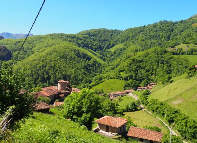 El Principado impulsará las lenguas propias