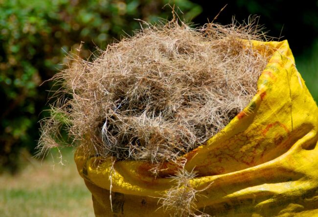 Recogida de residuos vegetales en Carreño en febrero de 2026