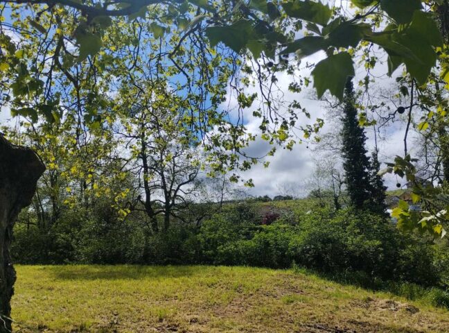 Asturias bate récord de turismo rural en 2025