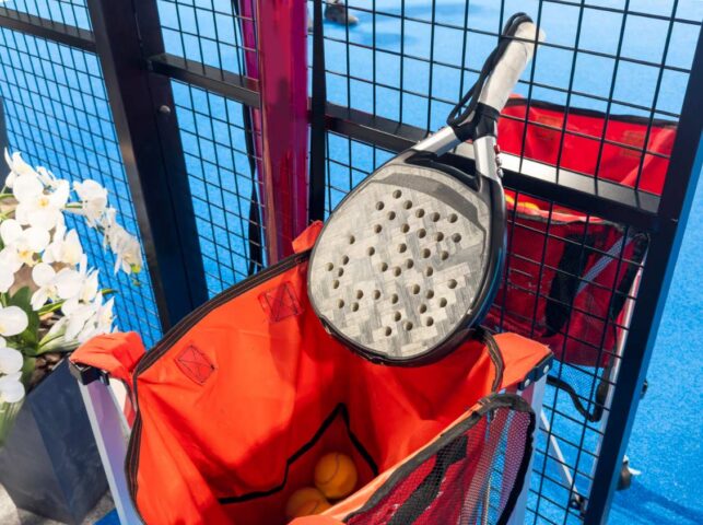 El pádel español cómo pasó del jardín al circuito global