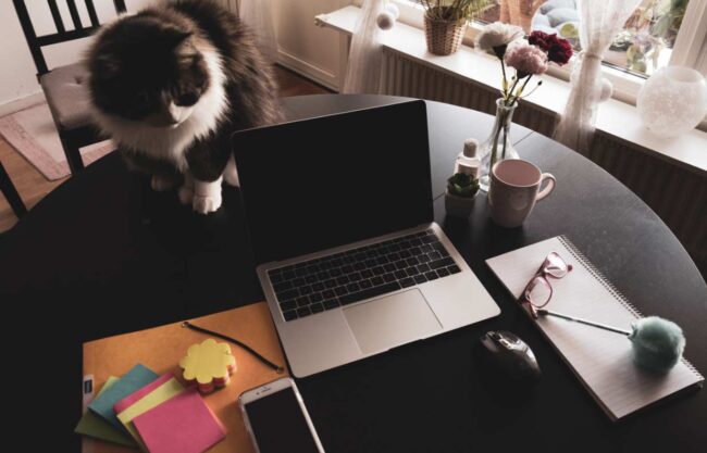 La revolución silenciosa que cambió la vida en casa Candás 365 La revolución silenciosa que cambió la vida en casa