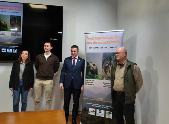 Oviedo impulsa un seguimiento científico de osos y lobos Candás 365 Oviedo impulsa un seguimiento científico de osos y lobos
