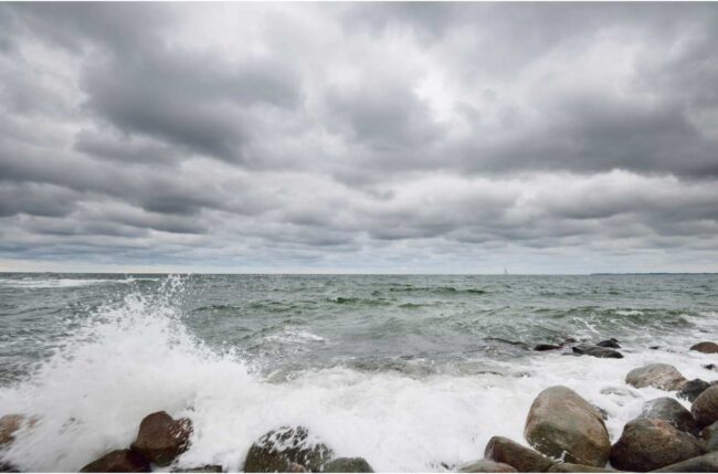 Ballena liberada en Alemania vuelve a encallar en banco de arena Candás 365 Ballena liberada en Alemania vuelve a encallar en banco de arena