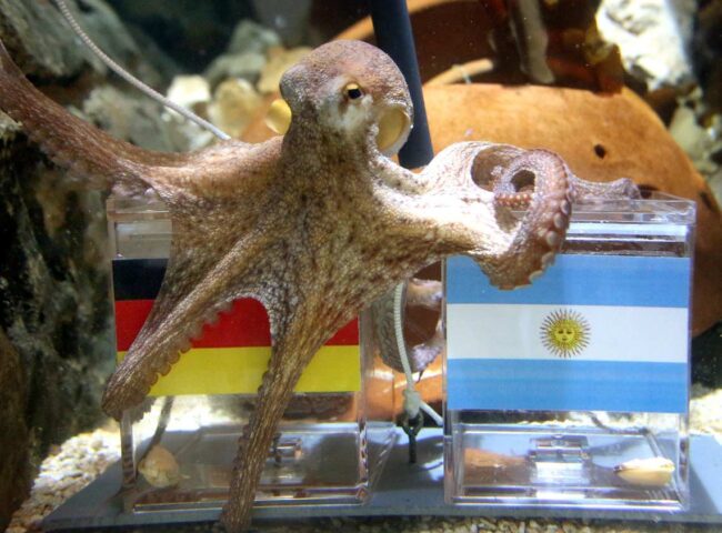 Las celebridades animales en la sociedad alemana