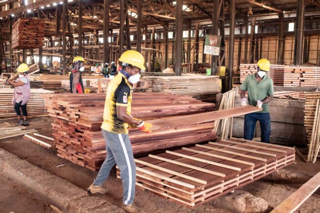 Unos 5800 millones de personas dependen de recursos forestales Candás 365 Unos 5.800 millones de personas dependen de recursos forestales