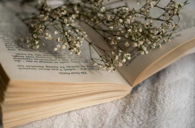 Asturias convoca un premio literario sobre la emigración Candás 365 Asturias convoca un premio literario sobre la emigración