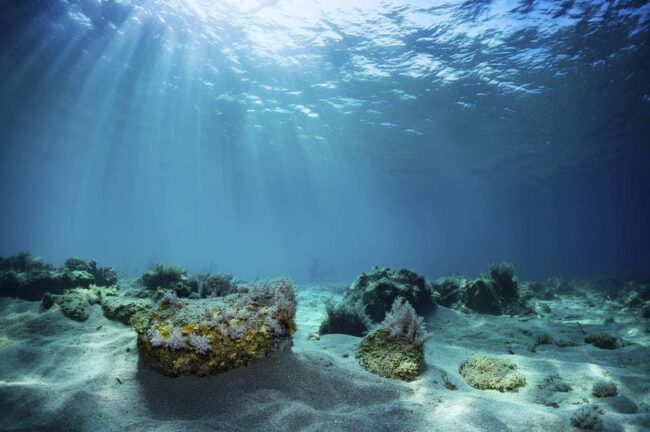 Drones submarinos el mar que nunca habías visto