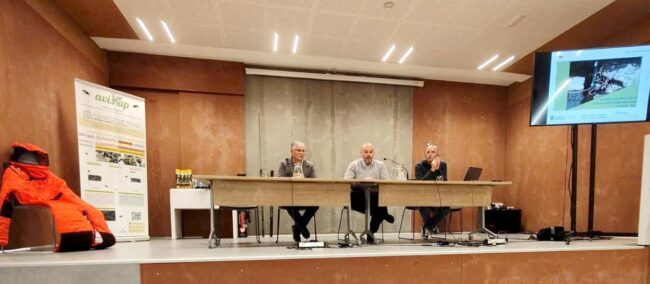 Récord de trampas contra la avispa asiática en Asturias