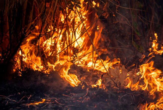 Treinta y dos incendios activos en Asturias Candás 365 Treinta y dos incendios activos en Asturias