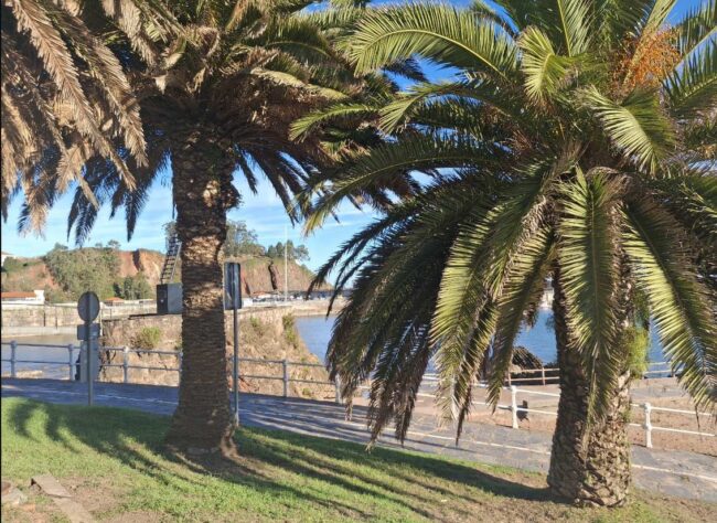 Veranillo de abril 2026 en Candás Candás 365 Veranillo de abril 2026 en Candás