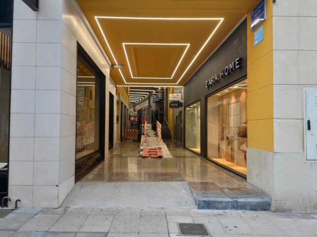 El PSOE de Oviedo carga contra las obras del pasaje Álvarez-Buylla