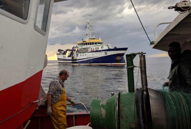 La norma pesquera de la UE castiga las artes sostenibles
