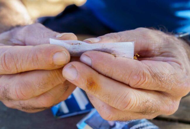 Crecen en Alemania el consumo y producción de tabaco ilegal Candás 365 Crecen en Alemania el consumo y producción de tabaco ilegal