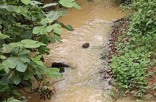Denuncian nuevos vertidos al río Aboño a su paso por Llanera