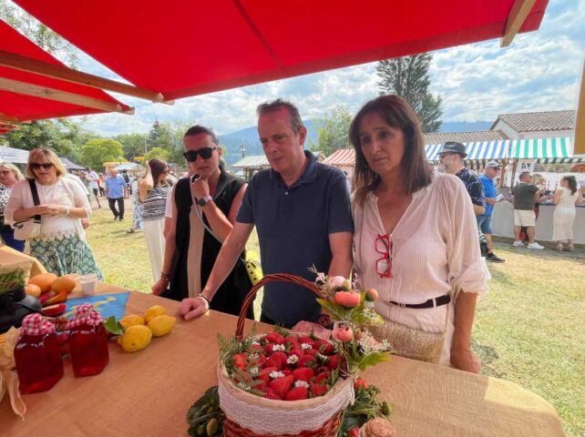 Festival de la Fresa de Candamo 2026