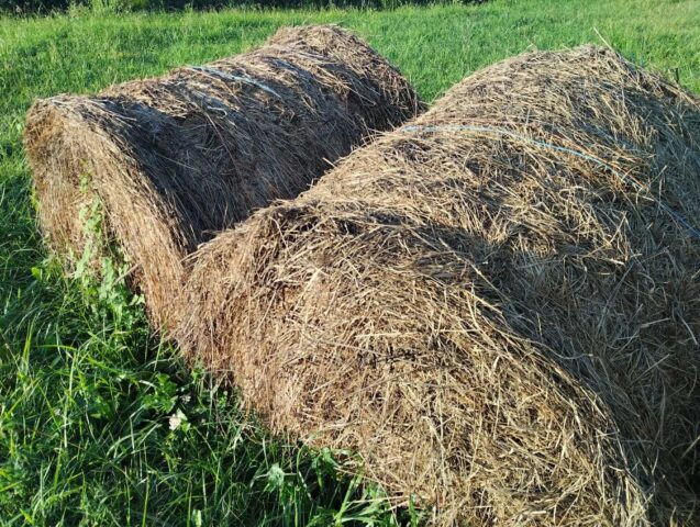 Recogida de plásticos agrarios en Carreño mes de junio 2026