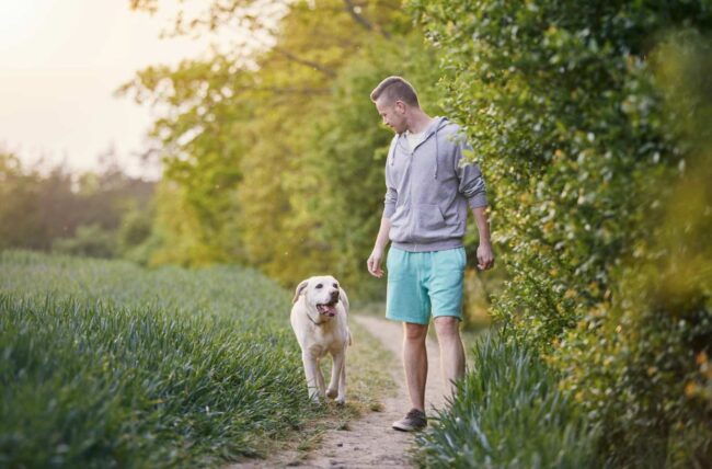 Cantimploras para perros