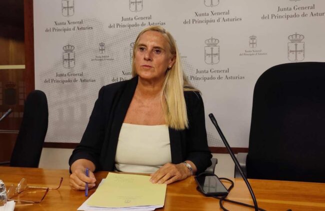 El PP de Asturias exige medidas ante el desplome de nacimientos Candás 365 El PP de Asturias exige medidas ante el desplome de nacimientos