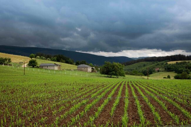 El Principado financia 53 proyectos del sector agroforestal