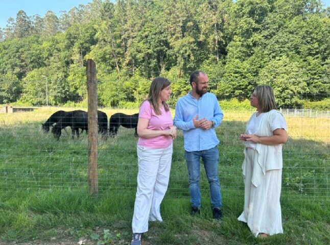 Piloña impulsa su turismo con el Centro del Asturcón Candás 365 Piloña impulsa su turismo con el Centro del Asturcón
