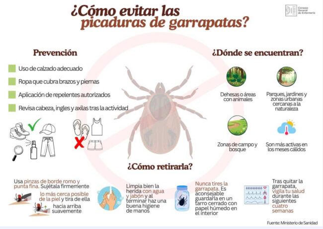 picaduras de garrapatas