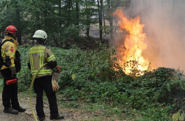 Controlan incendio de bosques en el oeste de Alemania
